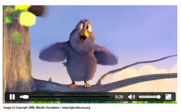 H5B Videos GoogleChrome