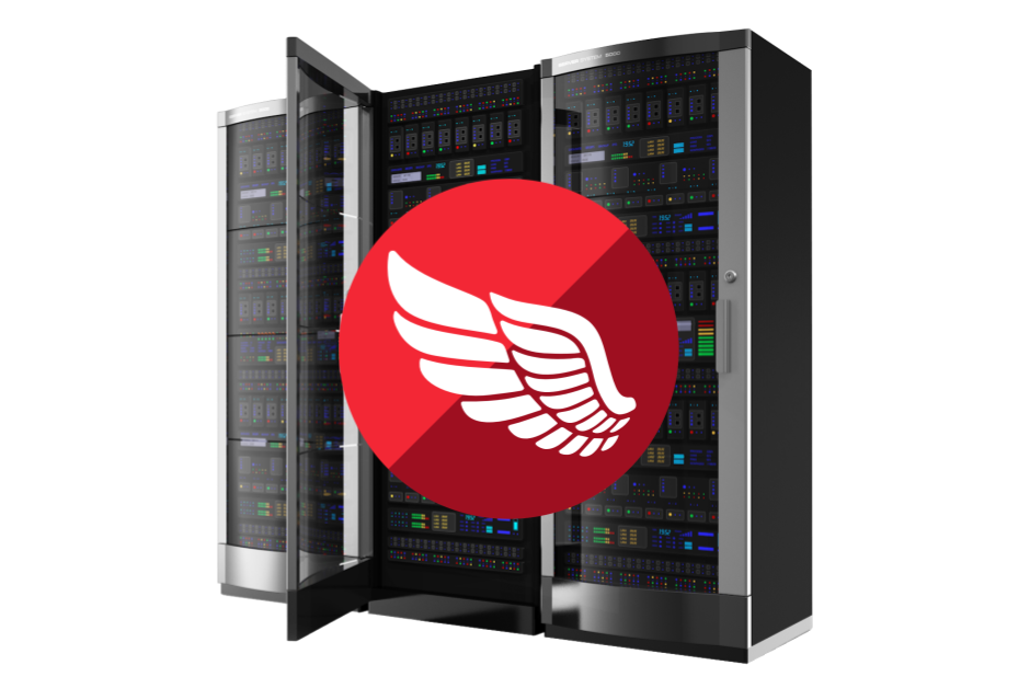 RAD Server
