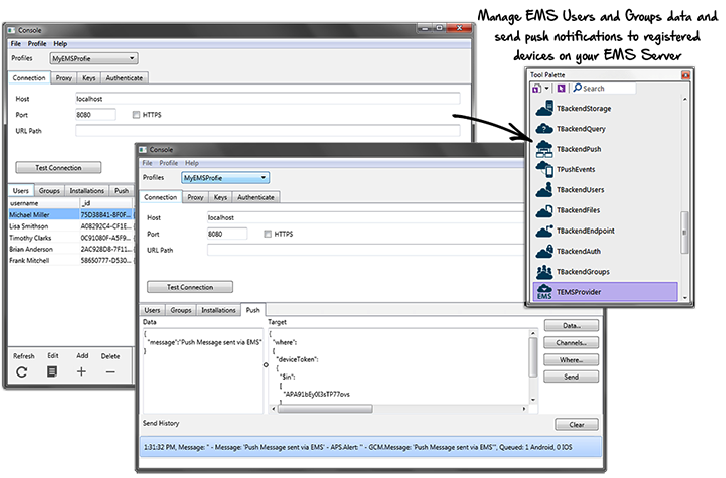 Rad Server Software Overview Embarcadero