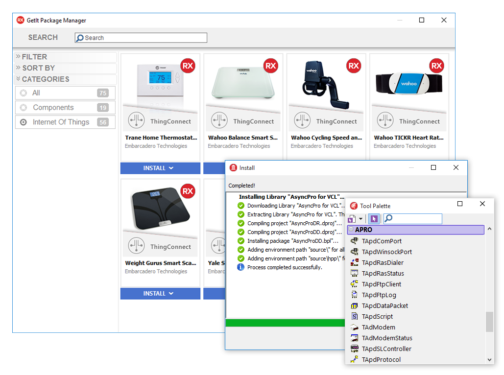 C Builder Software Overview Embarcadero